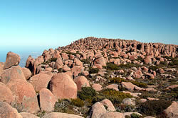 hobart