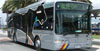 CAT bus_mini