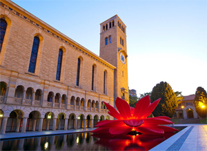 the university of western australia
